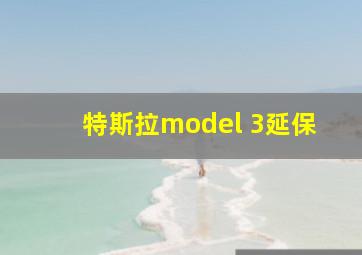 特斯拉model 3延保